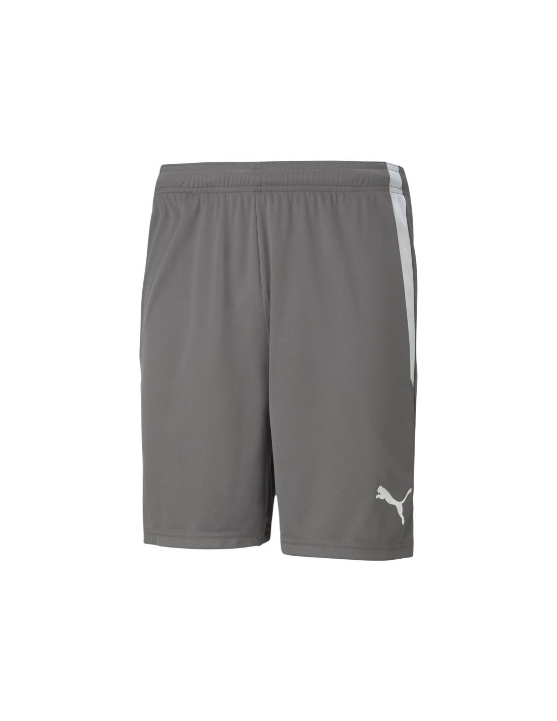 Men's Sports Shorts Puma Gray