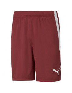 Puma teamLIGA M 704924 09...