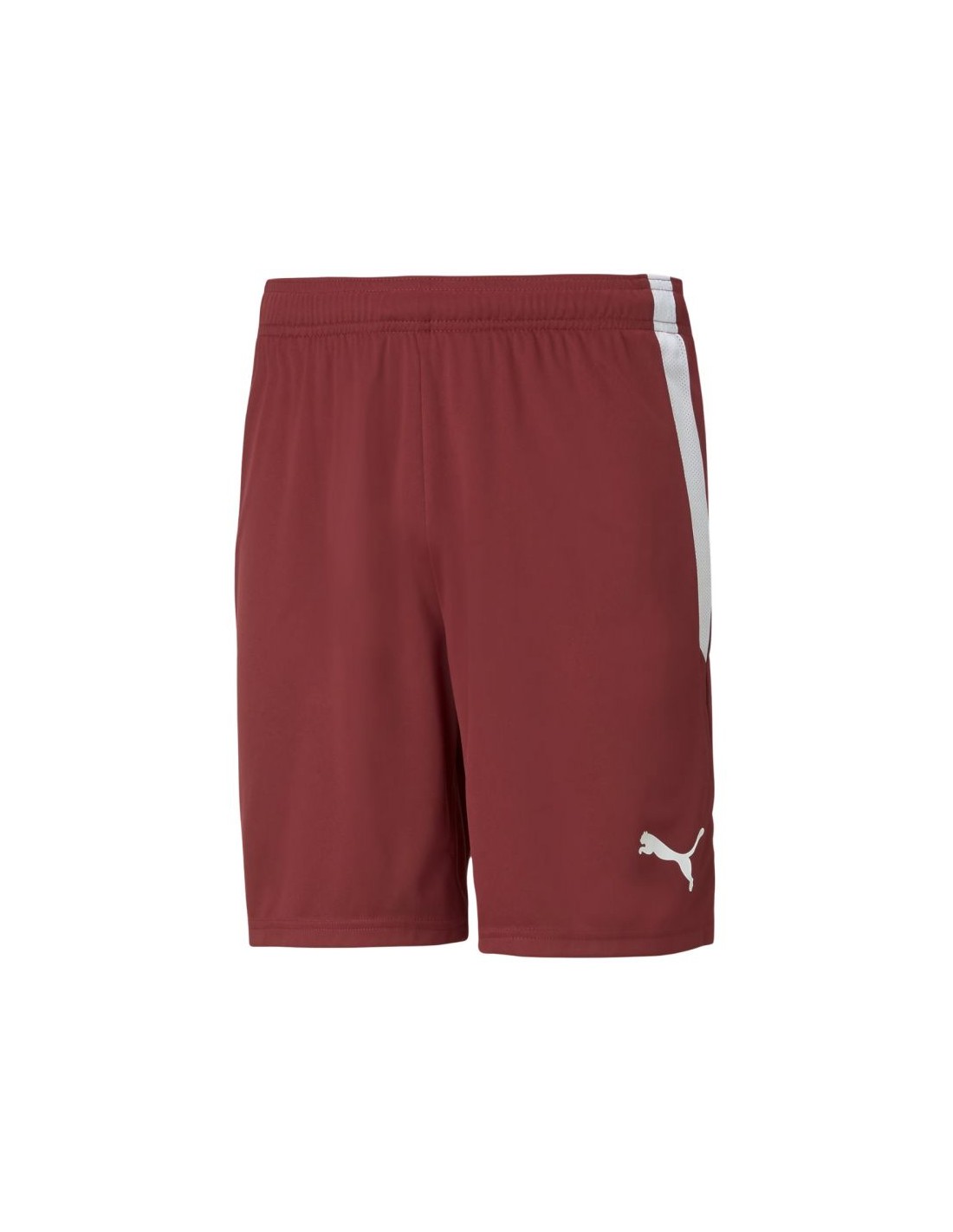 Men's Sports Shorts Puma Red