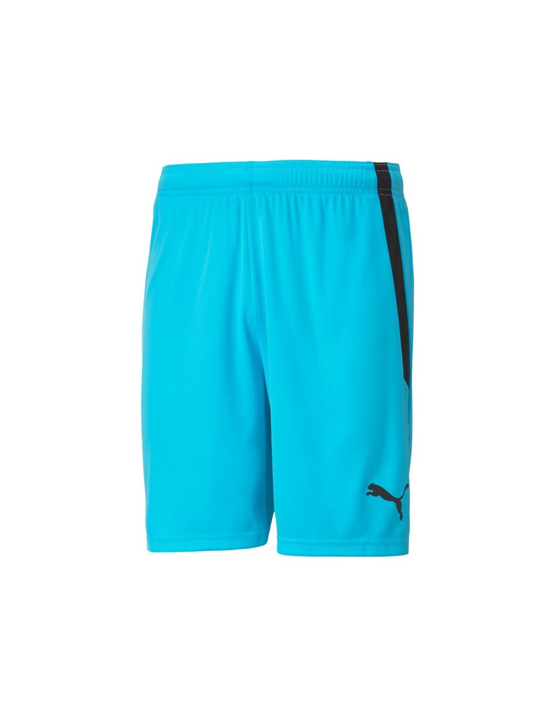 Puma teamLIGA M 704924 40 shorts
