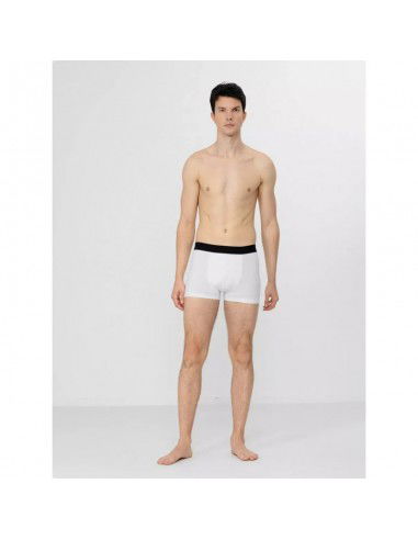 Boxer shorts 4F M H4Z22BIM35092S
