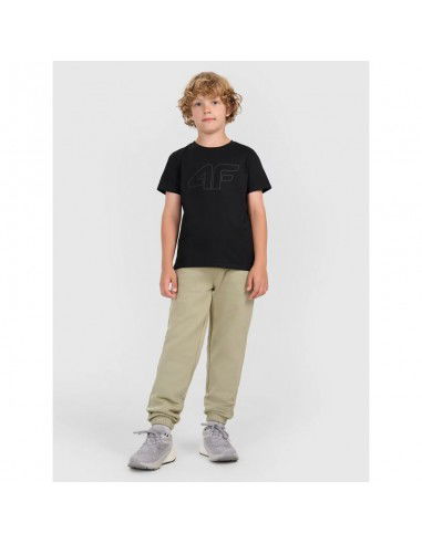 Boy's printed Tshirt 4F...