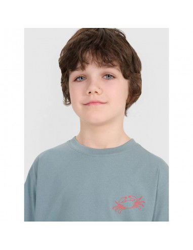 Boy's oversize Tshirt with print 4F...