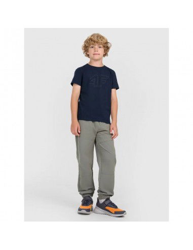 Boy's printed Tshirt 4F...