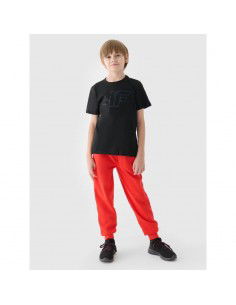 Boy's printed Tshirt 4F... 2