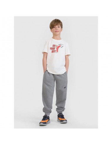 Boy's regular printed Tshirt 4F...