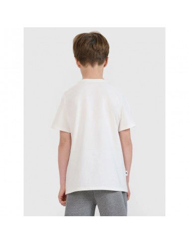 Boy's regular printed Tshirt 4F...