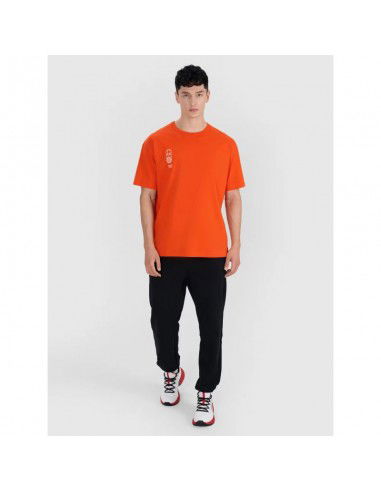 Men's oversize printed Tshirt 4F...