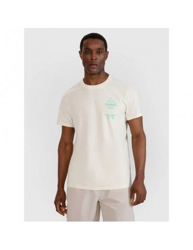 Men's regular printed Tshirt 4F...