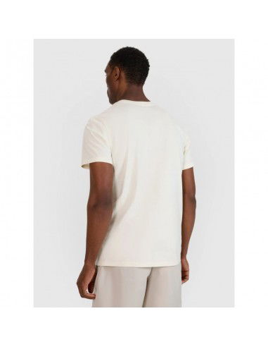 Men's regular printed Tshirt 4F...