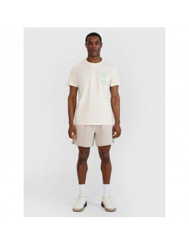 Men's regular printed Tshirt 4F...