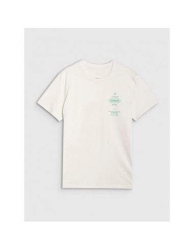 Men's regular printed Tshirt 4F...