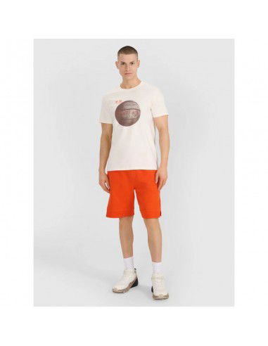 Men's regular printed Tshirt 4F...