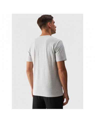 Men's regular printed Tshirt 4F...