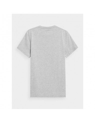 Men's regular printed Tshirt 4F...