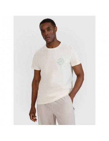 Men's regular printed Tshirt 4F...