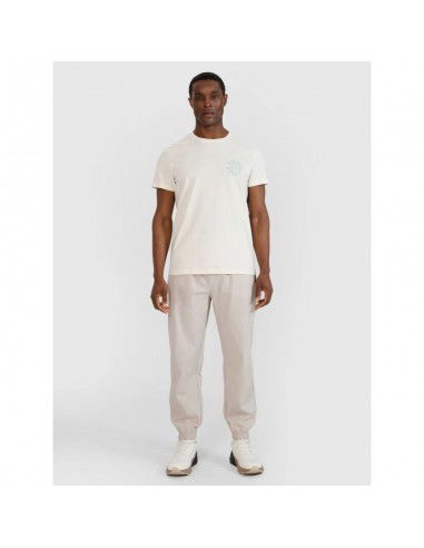 Men's regular printed Tshirt 4F...