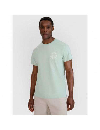 Men's regular printed Tshirt 4F...