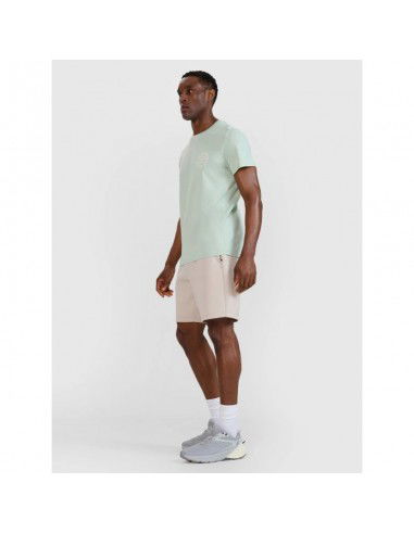 Men's regular printed Tshirt 4F...