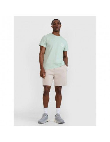 Men's regular printed Tshirt 4F...