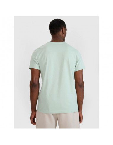 Men's regular printed Tshirt 4F...