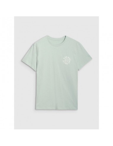 Men's regular printed Tshirt 4F...