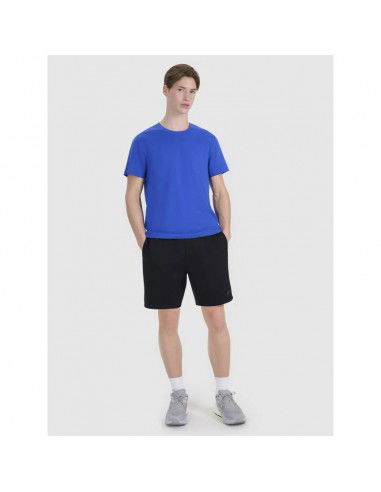 Men's regular printed Tshirt 4F...