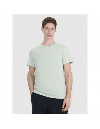 Men's regular printed Tshirt 4F...