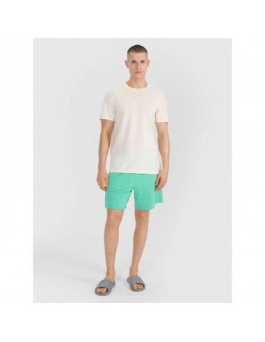 Men's tshirt with print 4F...