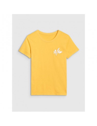 Women's regular printed Tshirt 4F...