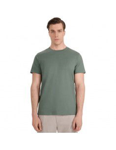 Men's Tshirt 4F M2441 green...