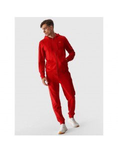 Men's jogger sweatpants 4F...