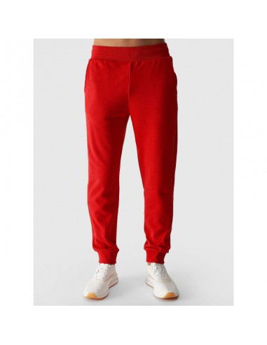 Men's jogger sweatpants 4F...