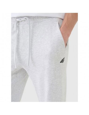 Men's jogger sweatpants 4F...
