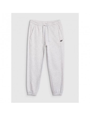 Men's jogger sweatpants 4F...