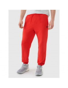 Men's jogger sweatpants 4F...