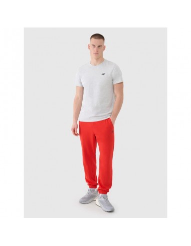 Men's jogger sweatpants 4F...
