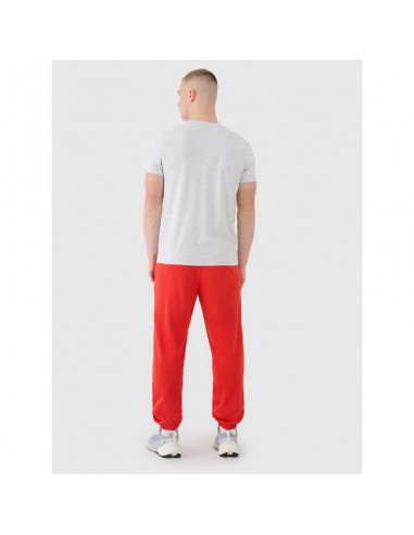 Men's jogger sweatpants 4F...