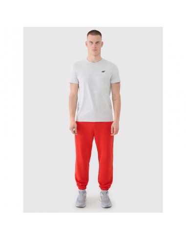 Men's jogger sweatpants 4F...
