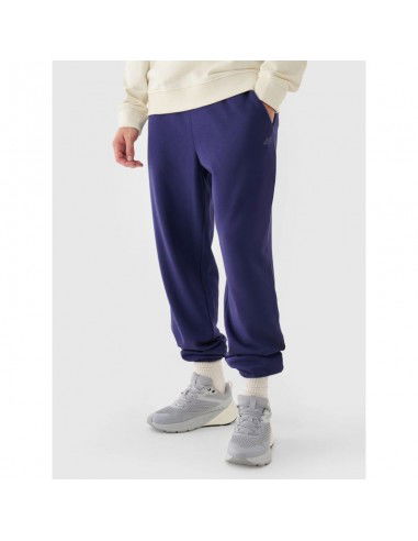 Men's jogger sweatpants 4F...