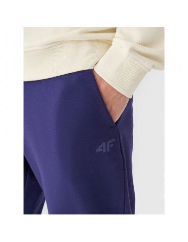 Men's jogger sweatpants 4F...