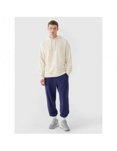 Men's jogger sweatpants 4F...