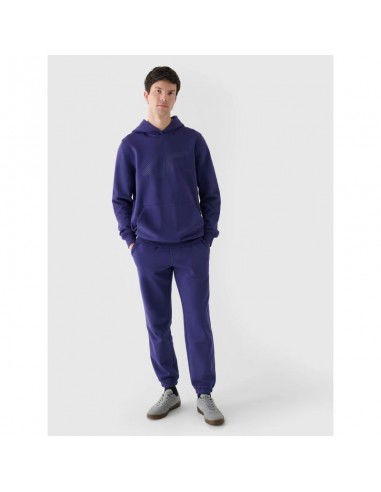 Men's jogger sweatpants 4F...