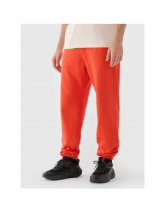 Men's jogger sweatpants 4F...
