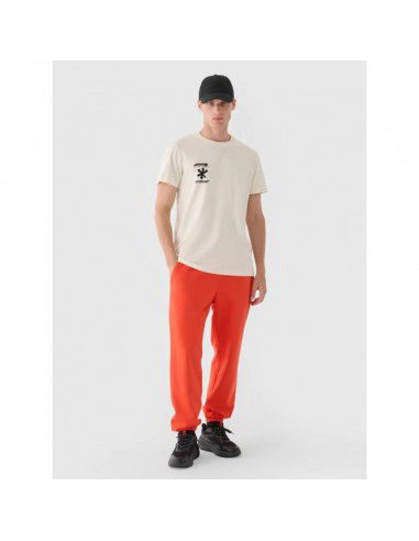 Men's jogger sweatpants 4F...