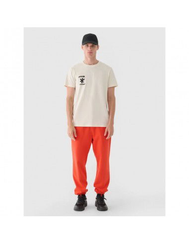 Men's jogger sweatpants 4F...