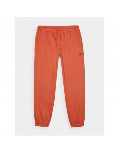 Men's jogger sweatpants 4F...