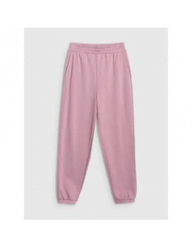 Women's jogger sweatpants 4F...