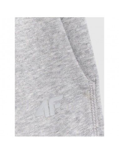 Women's jogger sweatpants 4F...