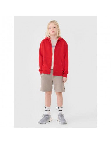Boys' sweatshirt with a hood zipup 4F...